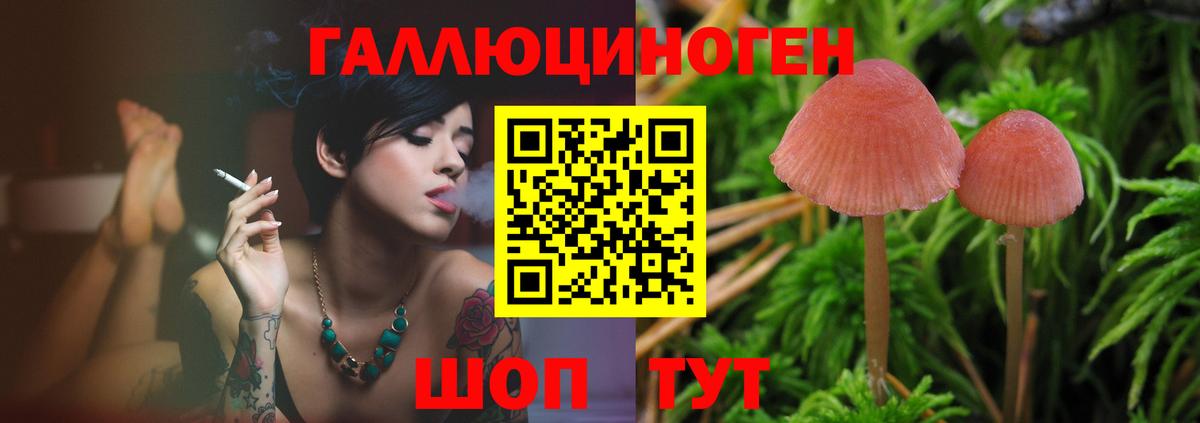 Галлюциногенные грибы GOLDEN TEACHER Чайковский