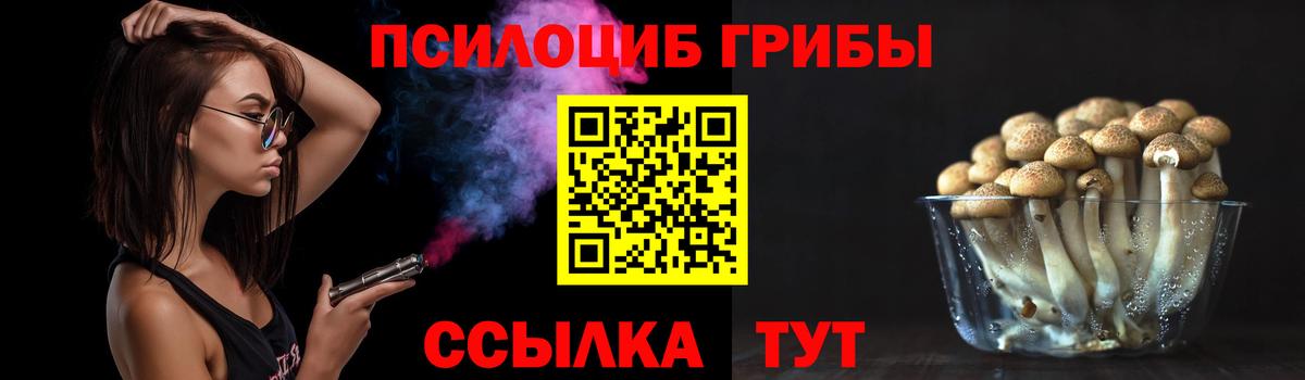 Галлюциногенные грибы мицелий  Галлюциногенные грибы MAGIC MUSHROOMS  Чайковский  даркнет сайт  Вход с VPN 